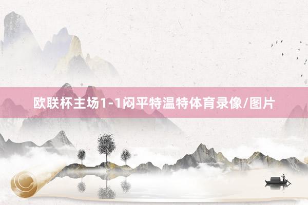 欧联杯主场1-1闷平特温特体育录像/图片