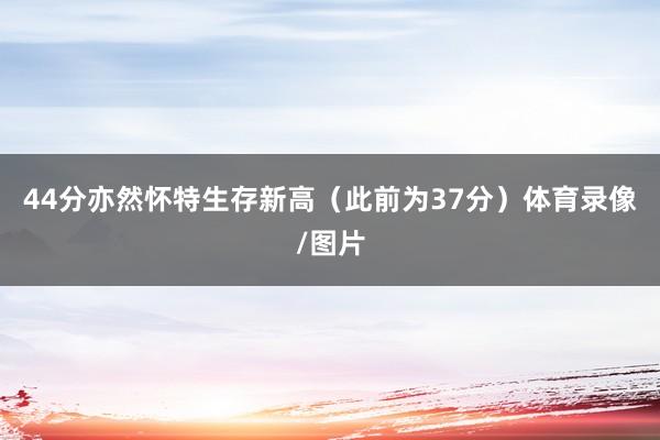 44分亦然怀特生存新高（此前为37分）体育录像/图片