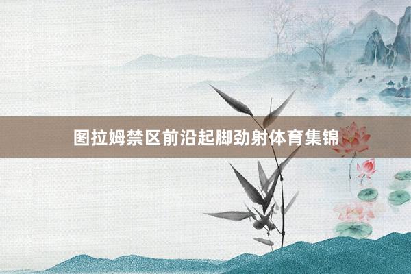 图拉姆禁区前沿起脚劲射体育集锦